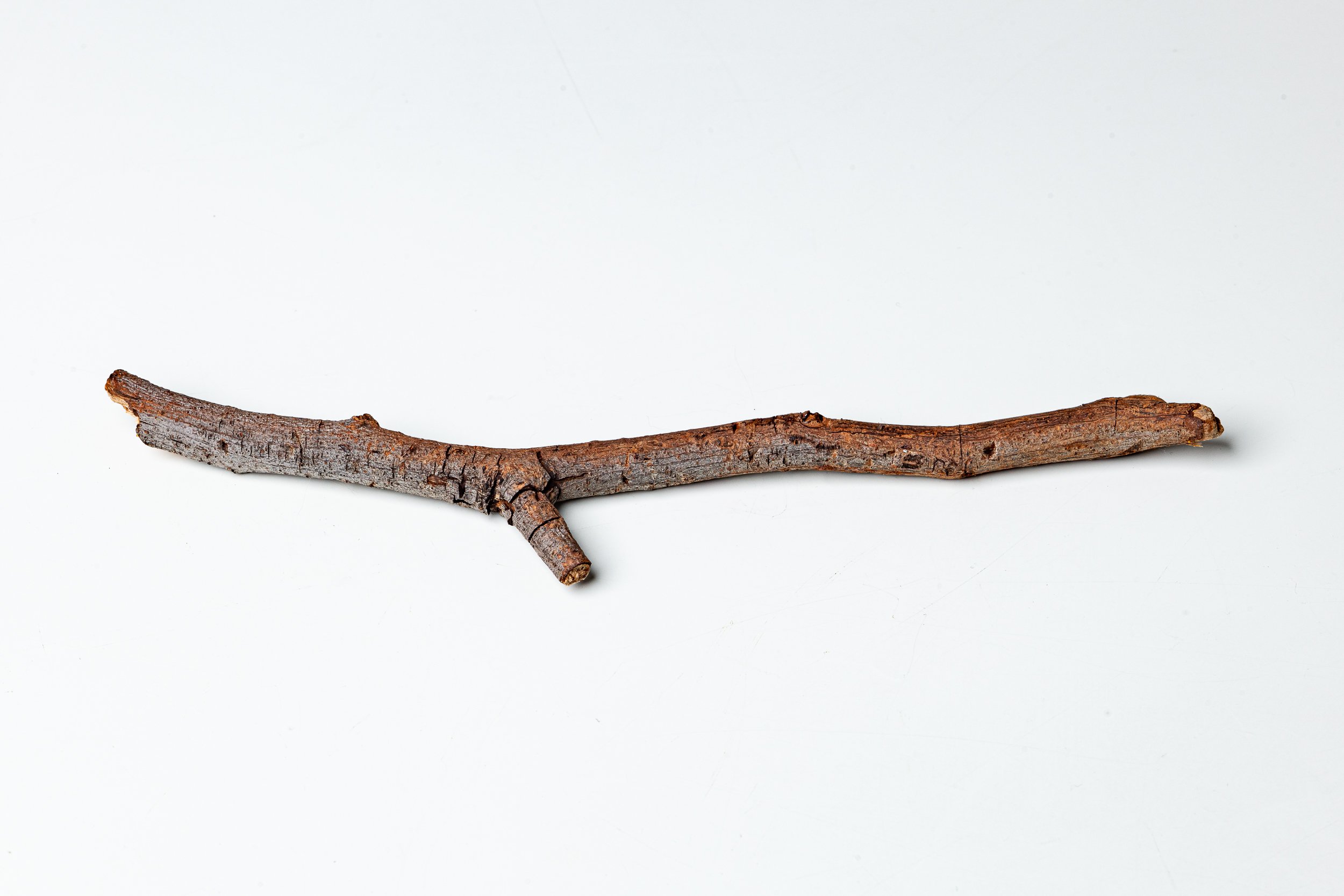 Eva's collection # 1