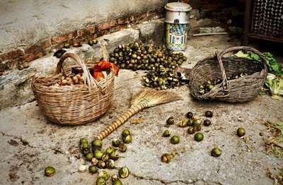 Fresh Walnuts by Erik