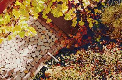 Umbrella Stand by Erik