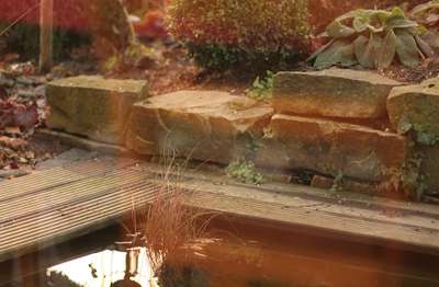 Winter Garden by Erik