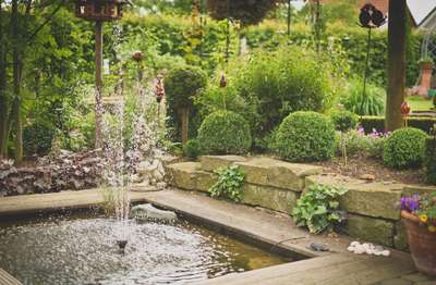 Parent's Garden by Erik