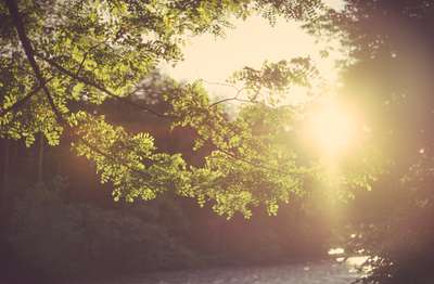 Sunset At The Creek by Erik