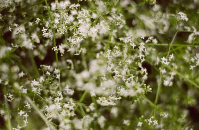 100 Helicopters by Erik