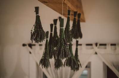 Drying Lavender by Erik