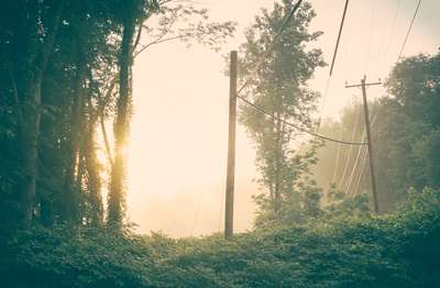 Thicket Sunset by Erik