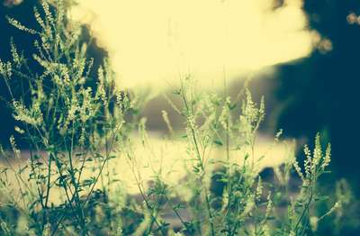 Moving In The Wind by Erik