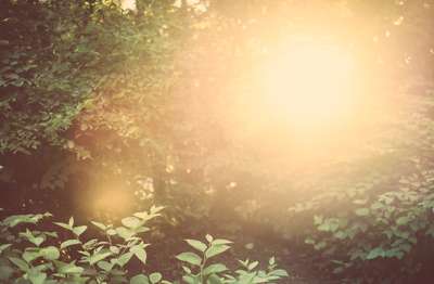 Blinding Sunset by Erik