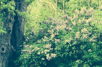 Not The Current Season by Erik