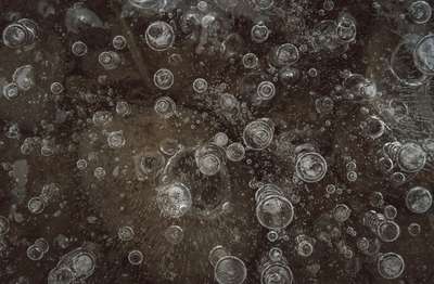 Bubbles by Erik