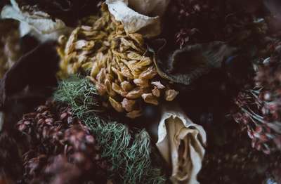 Dried Bridal Bouquet by Erik