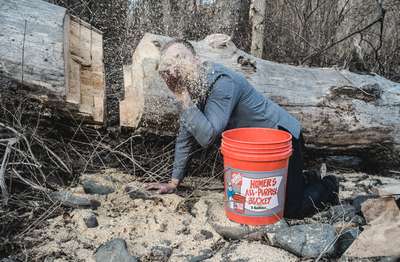 Sawdust Fairy by Erik