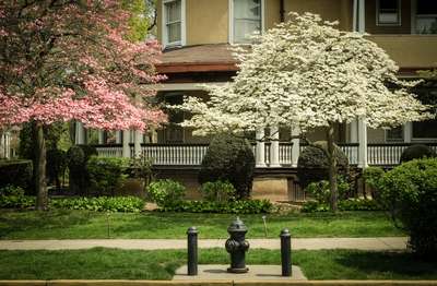Hydrant Family by Erik