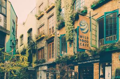 Wild Food Café by Erik