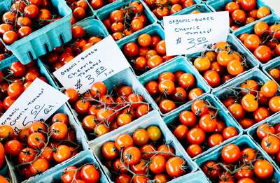 Organic Cherry Tomatoes by Erik
