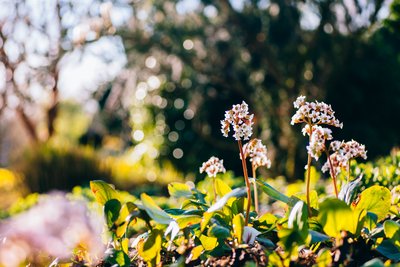 Spring Is Here... by Jens