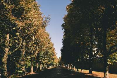 Schlossgarten Fulda by Erik