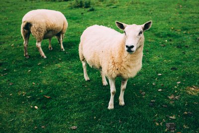 What's Up?!? by Jens