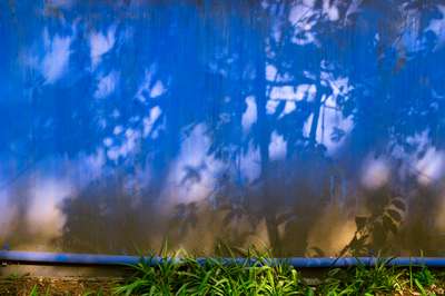 En El Jardin De Casa Azul by Erik