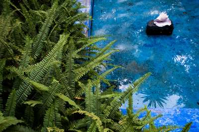 Green And Blue by Erik