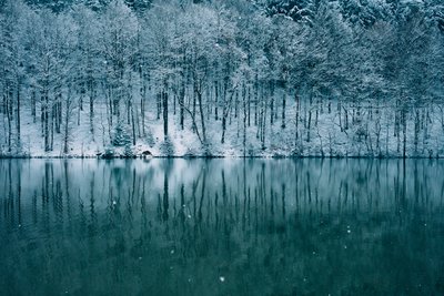 Winter Reflection by Jens