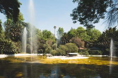 Mexico City Park by Erik