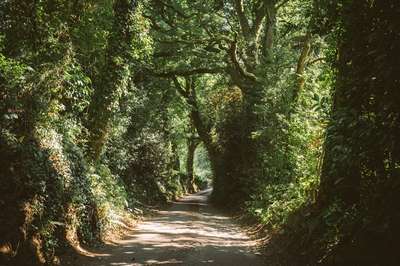Devon Country Road by Erik
