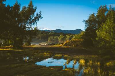 The Island Awakes by Erik