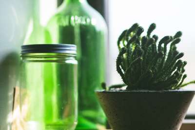 Green Still Life by Erik