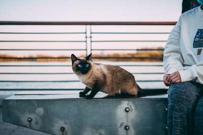 Sunday Stroll by Jens