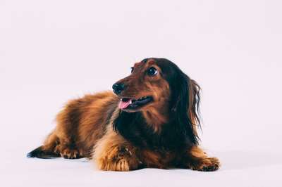 Where Are The Treats? by Jens