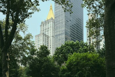 Park View by Erik
