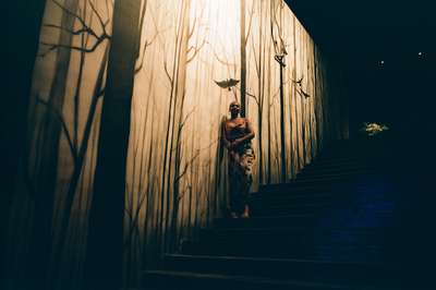 Painted Forest by Jens