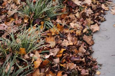 Dead And Alive by Erik