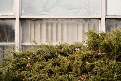 Nov 11, 2021 by Erik