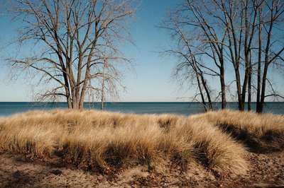 Gillson Park by Erik