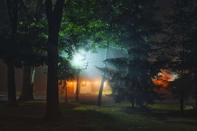 Finding Light by Erik