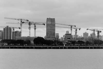 Cranes By The River by Jens