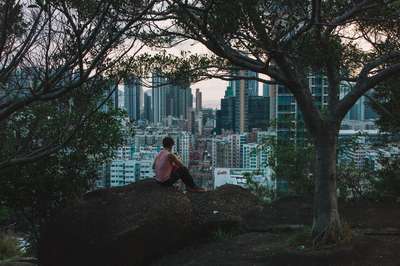 The View by Jens