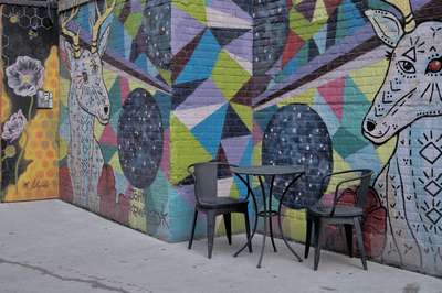 Black Cat Alley by Erik