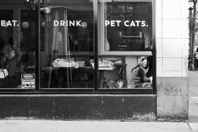 Eat. Drink. Pet Cats. by Erik