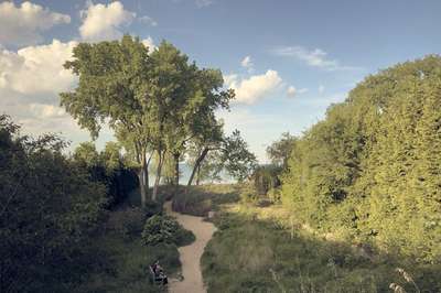 Elmwood Dunes Preserve by Erik