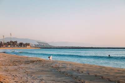 Morning Walk by Jens