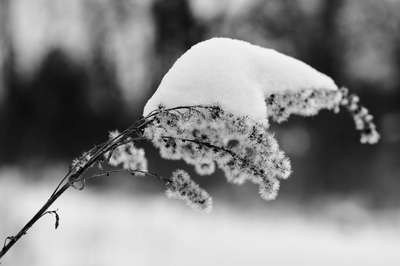 Heavily Laden by Erik