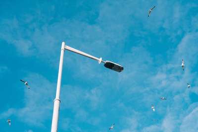 Lantern & Doves by Jens