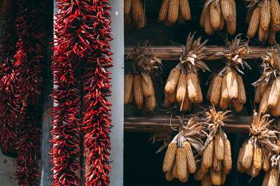 Mexico In China by Jens