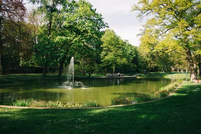 Lake Back Home by Jens