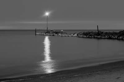 Find Two Birds by Erik