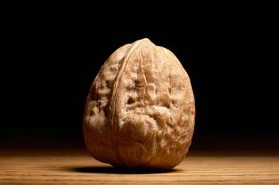 Walnut by Erik