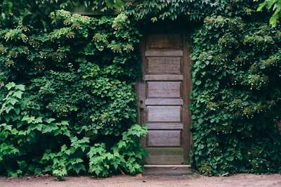 Old Wooden Door by Erik