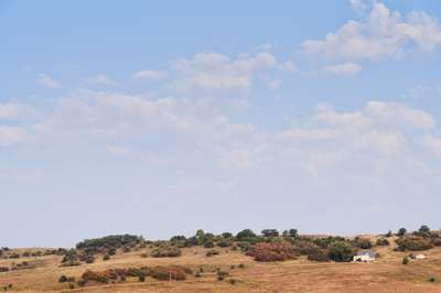 Yampa Valley by Erik